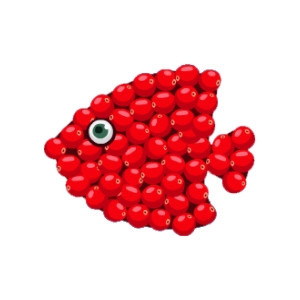 Cranberry Fish